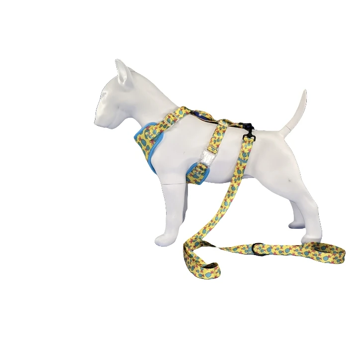 Dog harness