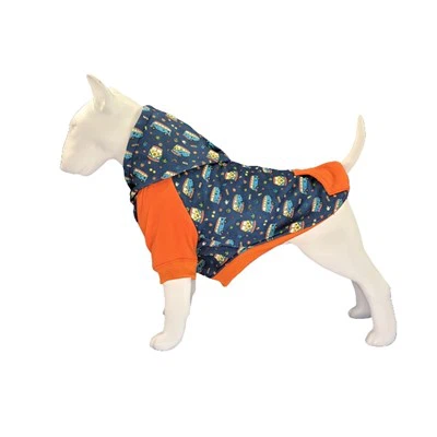 Roupas de cachorro para o inverno