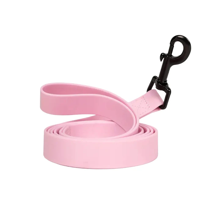 Trela de cachorro em PVC